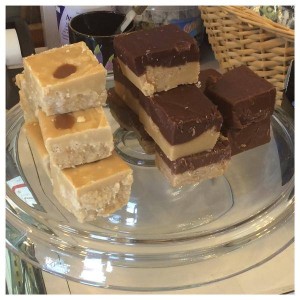 11214323_1117930061566858_6617824386918579061_n