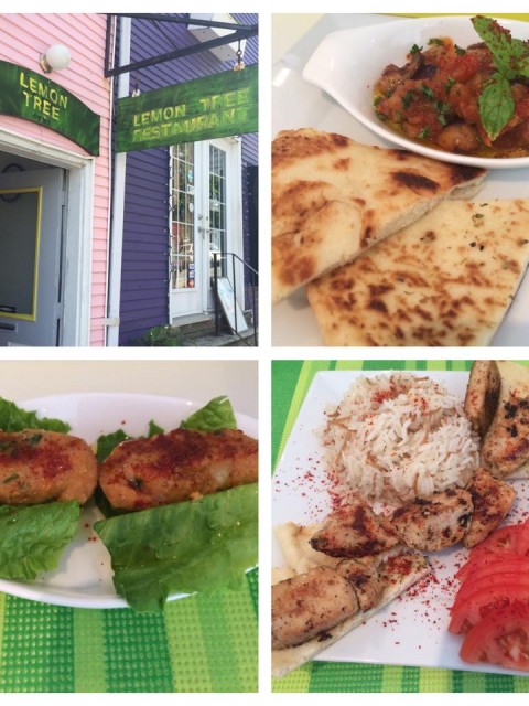 11202106_1127031203990077_8953986481201134072_n