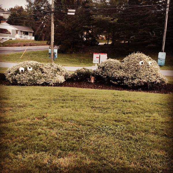 Mezza and Dollarama on Lacewood, Portland Street Crepes!